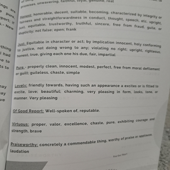 NWT Think on These Journal: Walking out Phillipians 4:8 - Picture 6 of 8